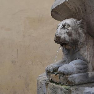B&B La Fontana Dei Cani